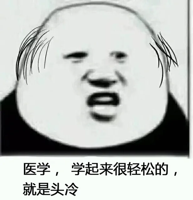 医学,学起来很轻松的,就是头冷