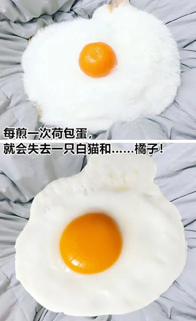 每煎一次荷包蛋就会失去一只白猫和……….橘子!（每煎一次荷包蛋就会失去一只白猫和……….橘子!）