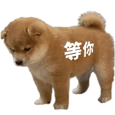 站岗小狗表情包合集_狗狗表情包