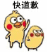 快道歉（打小鸡）
