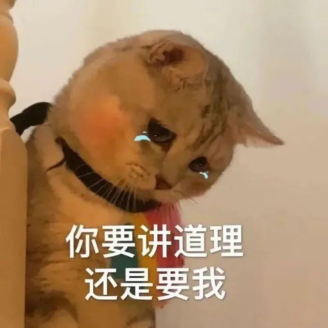 你要讲道理还是要我