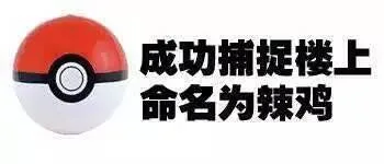 成功捕捉楼上命名为辣鸡