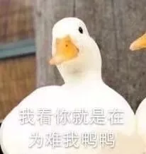 我看你就是在为我鸭鸭（我看你就是在为我鸭鸭）