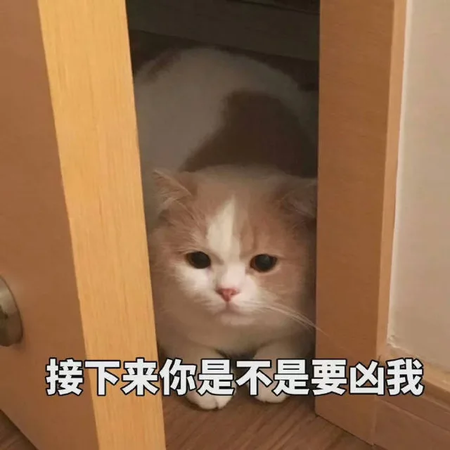 一组吸猫喵喵