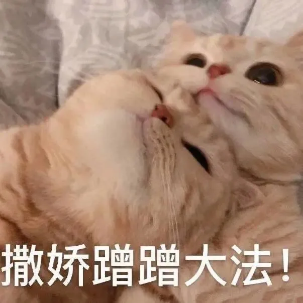 撒娇蹭蹭大法！（撒娇蹭蹭大法！）