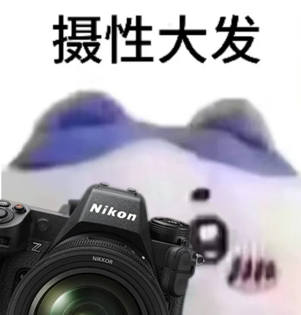 摄性大发NikonNIKKOR（摄性大发NikonNIKKOR）