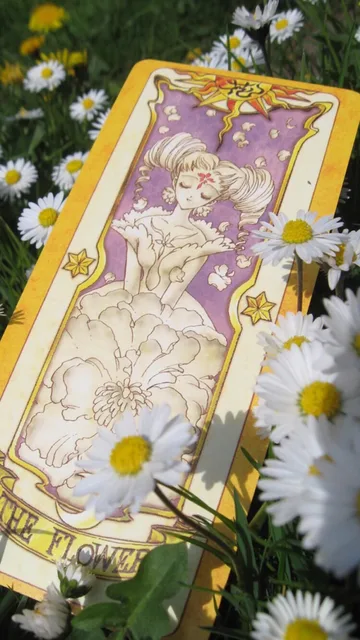 魔卡少女樱壁纸（魔卡少女樱壁纸）