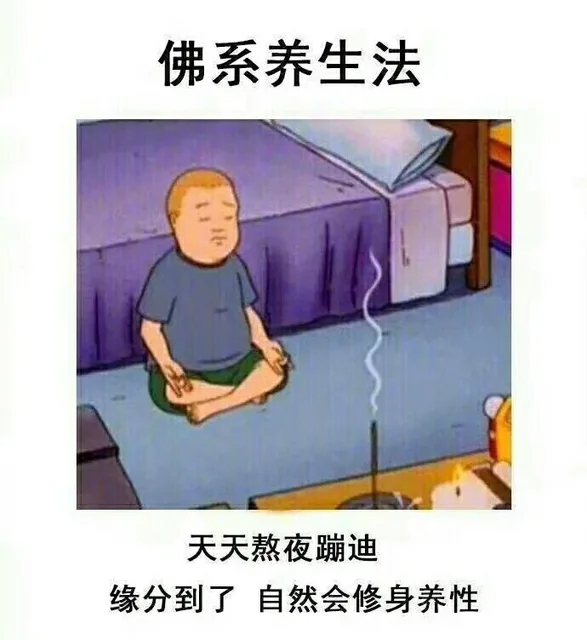 佛系养生法天天熬夜蹦迪缘分到了自然会修身养性（佛系养生法天天熬夜蹦迪缘分到了自然会修身养性）
