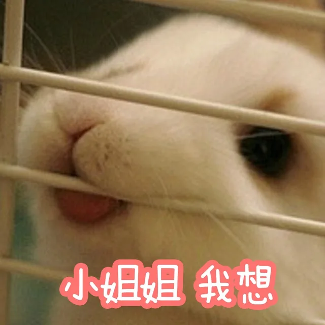 小姐姐我想