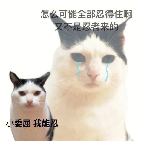 怎么可能全部忍得住啊又不是忍者来的小委屈我能忍（怎么可能全部忍得住啊又不是忍者来的小委屈我能忍）