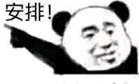 安排!（安排!）