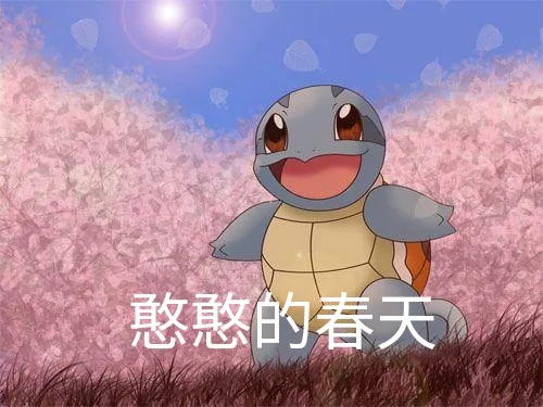 一组憨憨的杰尼龟