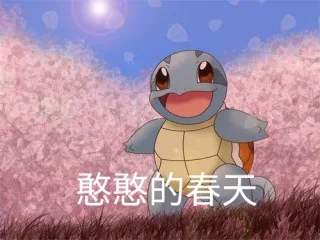 一组憨憨的杰尼龟表情包