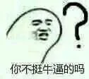 你不挺牛逼的吗？