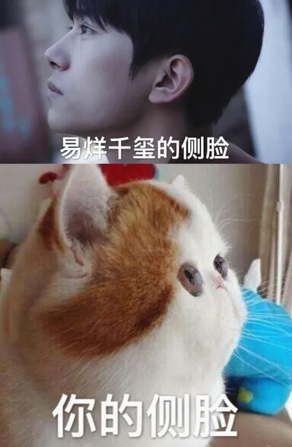 易烊千玺的侧脸你的侧脸