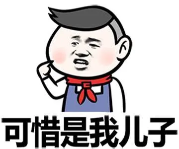 可惜是我儿子
