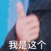 我是这个