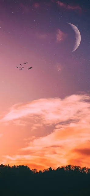 夕阳壁纸（夕阳壁纸）
