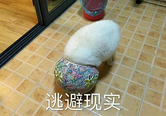 逃避现实（逃避现实）