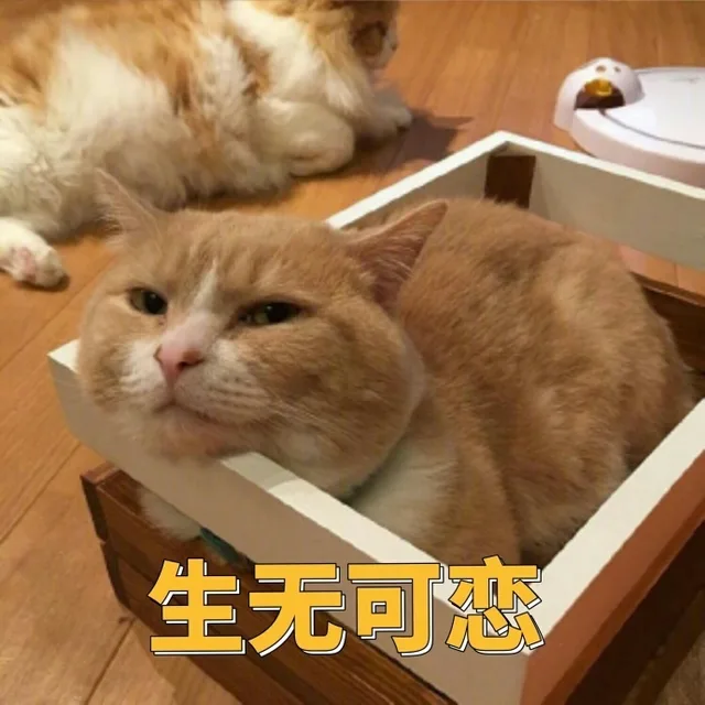 生无可恋（生无可恋）
