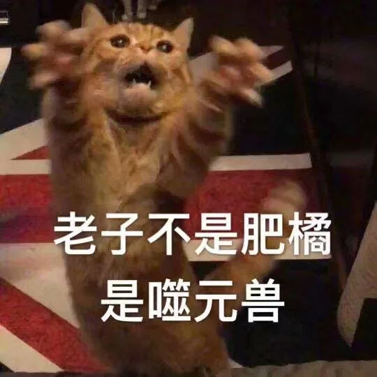 《惊奇队长》 噬元兽橘猫表情包