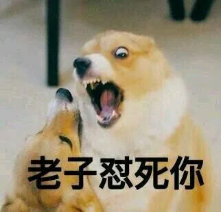 老子怼死你（老子怼死你）