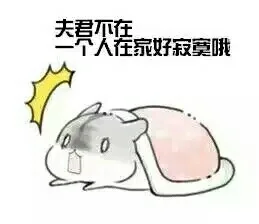 夫君不在，一个人在家好寂寞哦