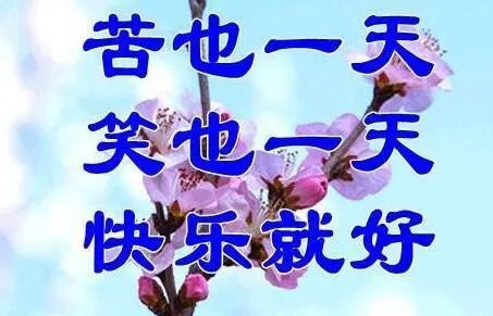苦也一天笑也一天快乐就好（苦也一天笑也一天快乐就好）