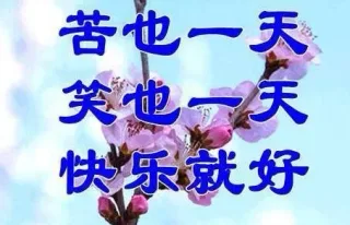 苦也一天笑也一天快乐就好