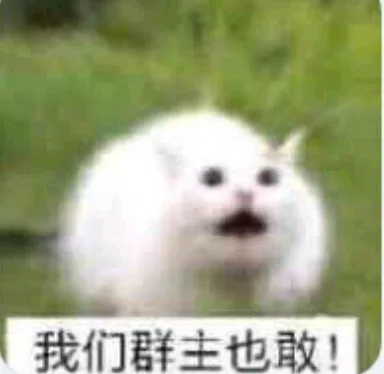 我们群主也敢（我们群主也敢）