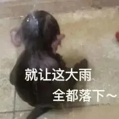 就让这大雨全都落下~（就让这大雨全都落下~）