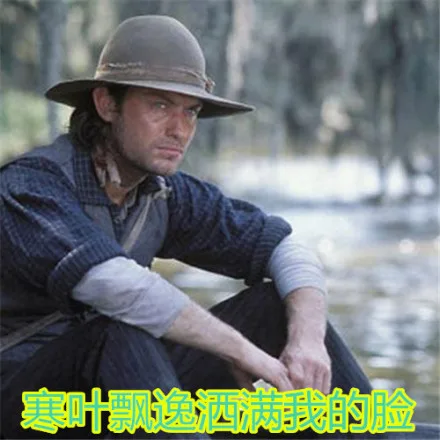 寒叶飘逸洒满我的脸（寒叶飘逸洒满我的脸）