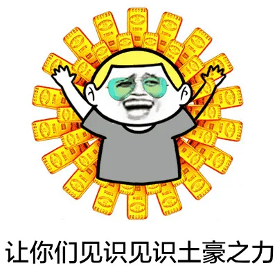 让你们见识见识土豪之力