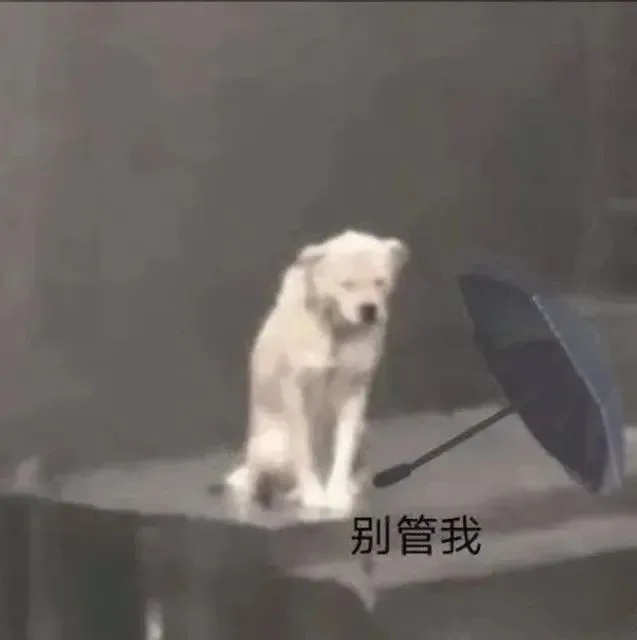 别管我 修勾撑伞表情包
