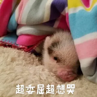 超委屈超想哭