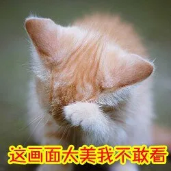 这画面太美我不敢看