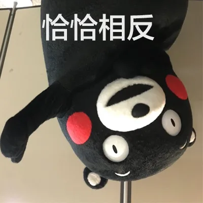我熊本熊反了！ _熊本熊