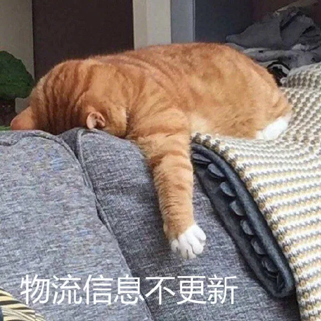 物流信息不更新（物流信息不更新）