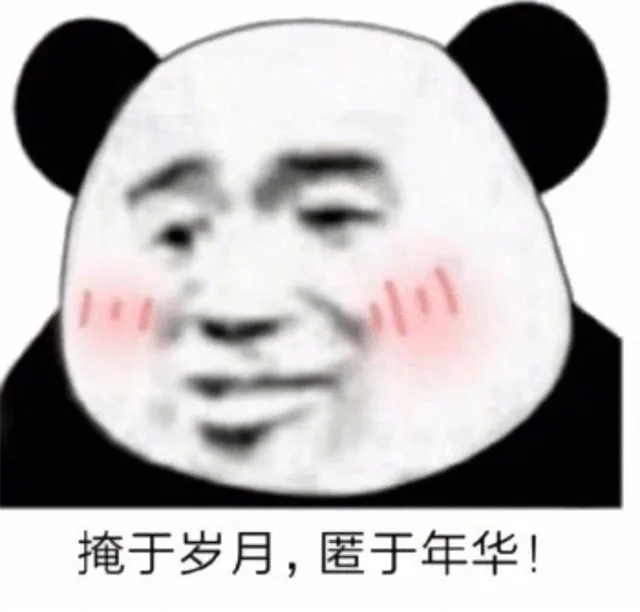 掩于岁月,匿于年华