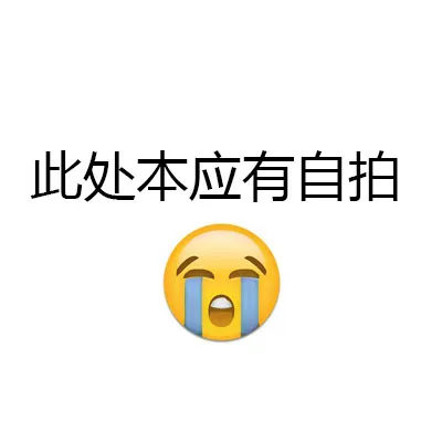 此处本应有自拍（此处本应有自拍）