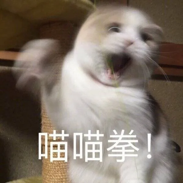 喵喵拳！（喵喵拳！）