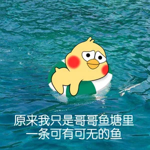 原来我只是哥哥鱼塘里一条可有可无的鱼