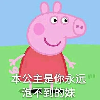 本公主是你永远泡不到的妹（本公主是你永远泡不到的妹）