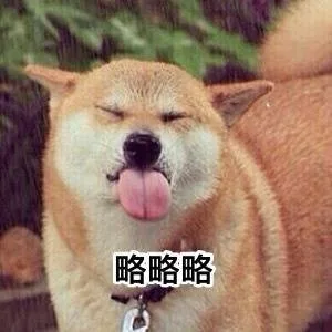 略略略 doge 吐舌头（略略略 doge 吐舌头）