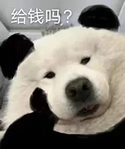 给钱吗?