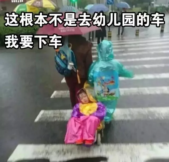 这根本不是去幼儿园的车！ 我要下车（这根本不是去幼儿园的车！ 我要下车）
