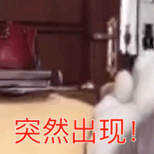 突然出现（突然出现）