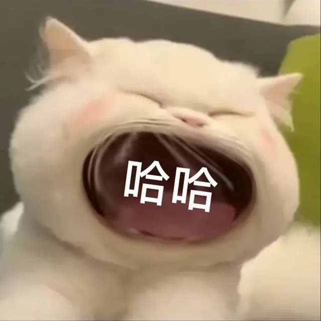 哈哈（哈哈）