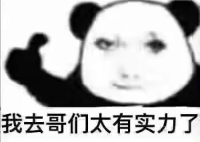 我去哥们太有实力了（我去哥们太有实力了）