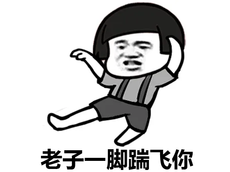老子一脚蹦飞你（老子一脚蹦飞你）